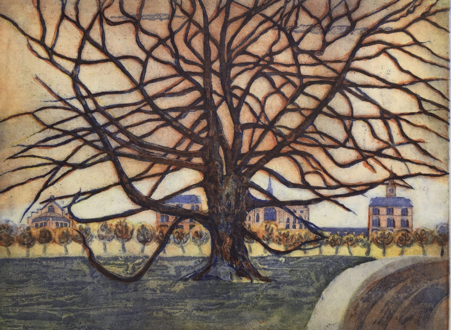 Turkey oak tree Dulwich college