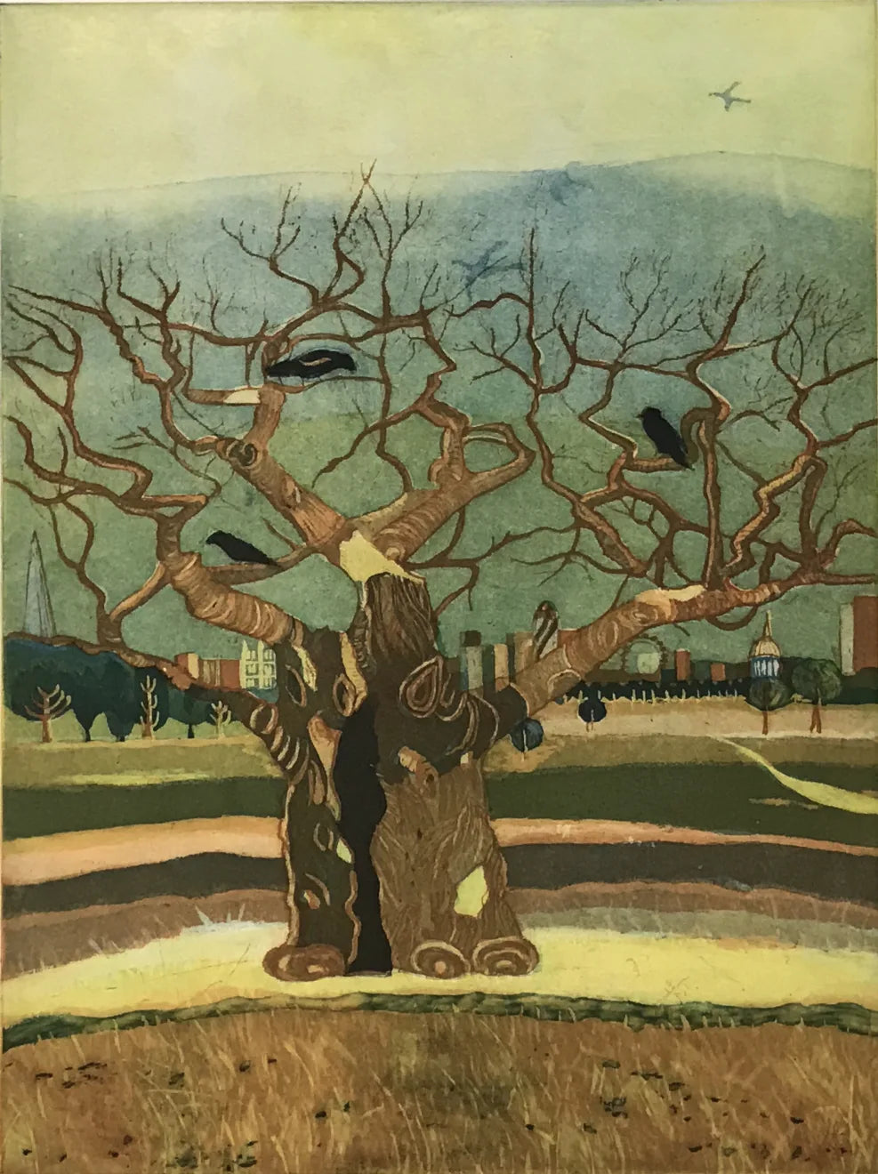 The oldest oak tree Richmond Park London