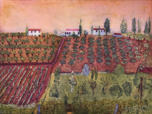 Vineyard and olive grove  Tuscany Italy