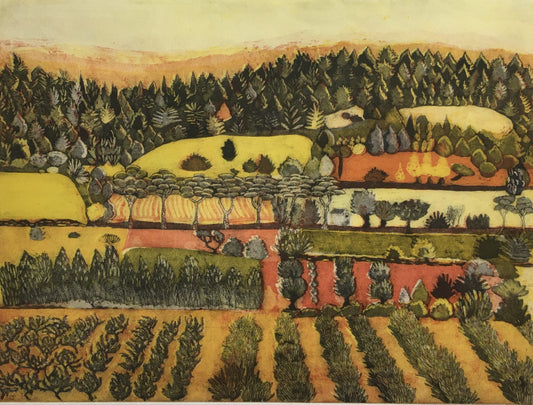 Allotment Lagrasse South of France